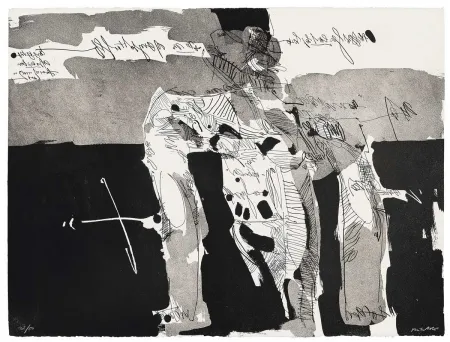 飞尘腐蚀法 Millares - Antropofauna