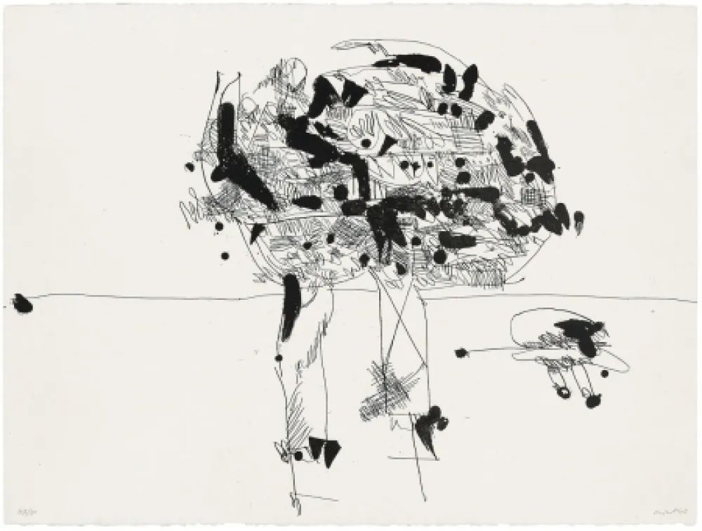 飞尘腐蚀法 Millares - Antropofauna