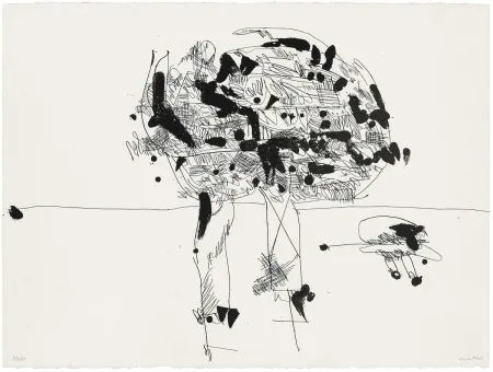 飞尘腐蚀法 Millares - Antropofauna