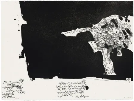 飞尘腐蚀法 Millares - Antropofauna