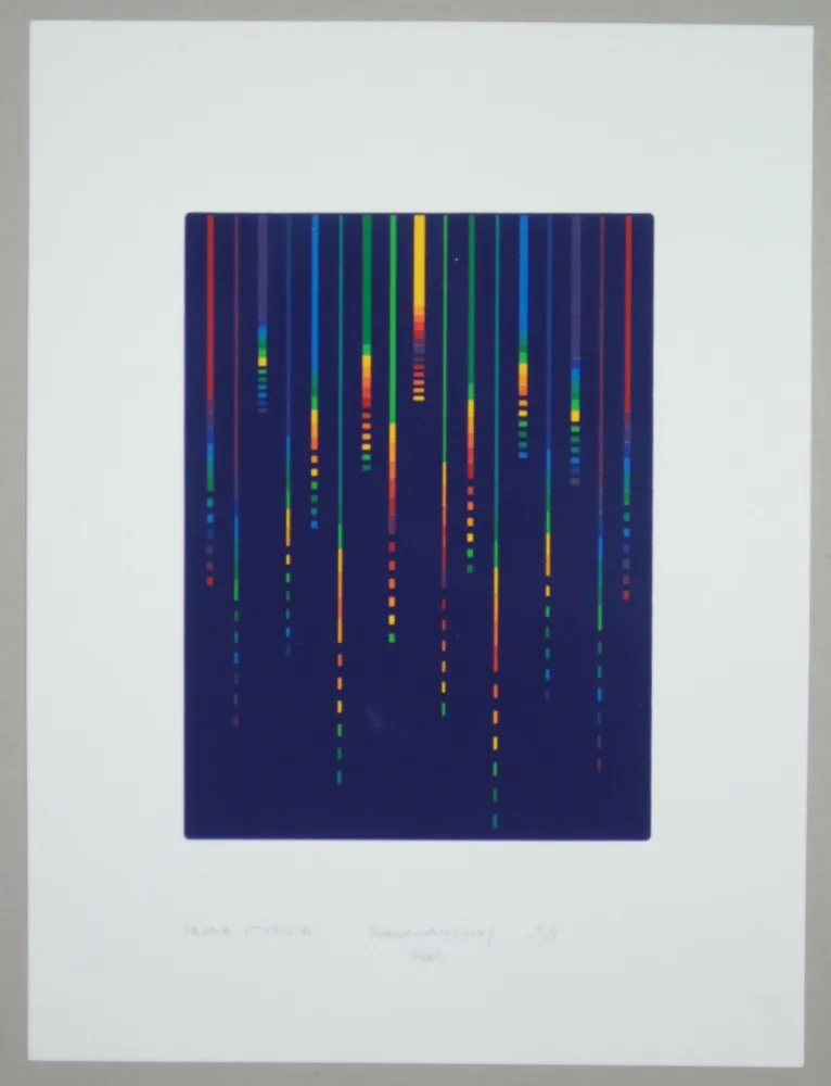 丝网印刷 Minoli - Composizione (e)