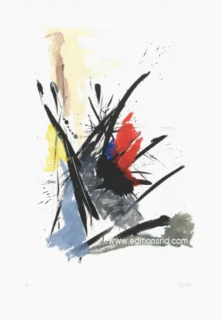 蚀刻飞尘法 Miotte - L'iroquois