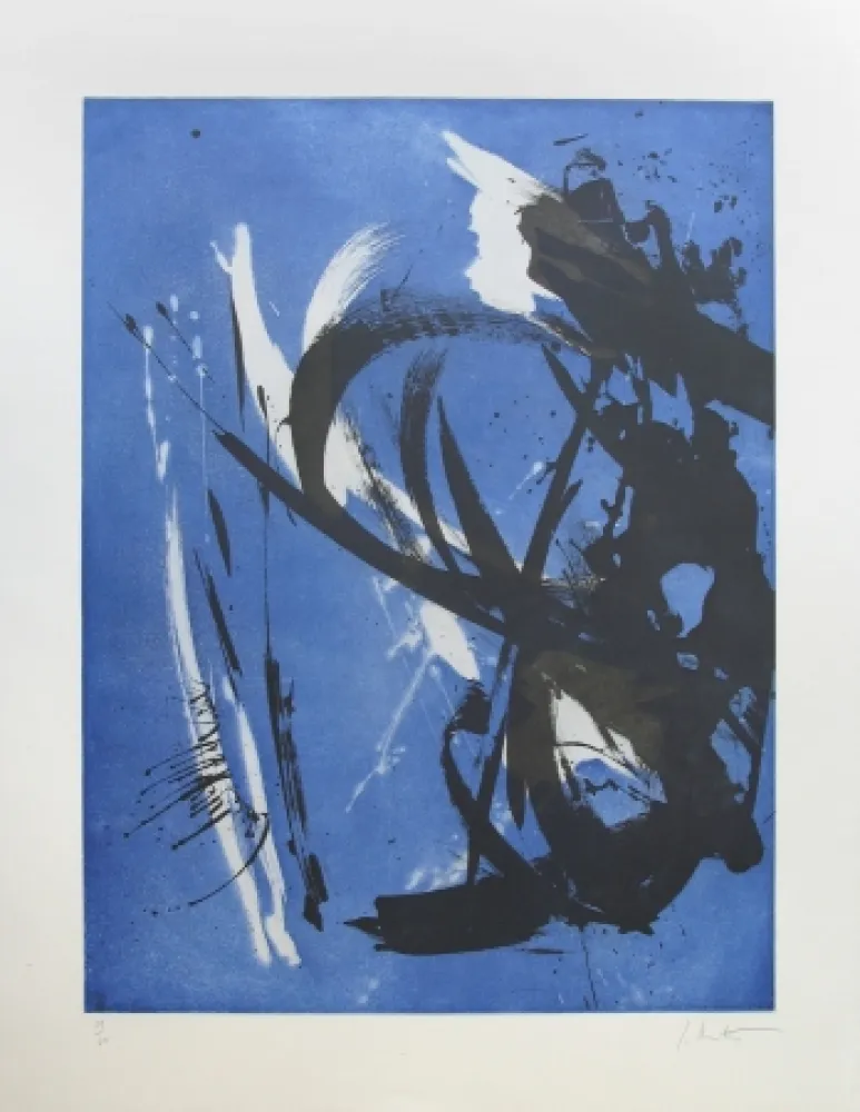 蚀刻版画 Miotte - Propos délibérés océan