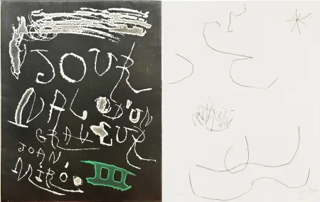 蚀刻飞尘法 Miró -  Journal d'un Graveur