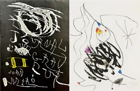 蚀刻飞尘法 Miró - Journal d'un Graveur (INCLUDE THE ORIGINAL FOULDER)