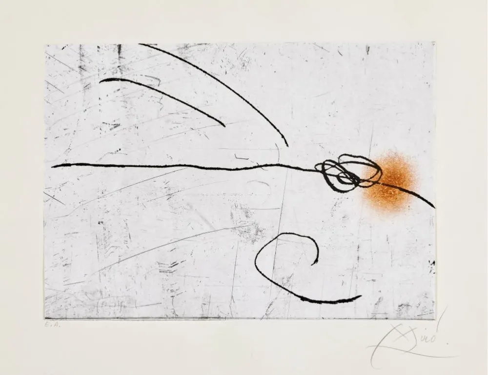 蚀刻飞尘法 Miró - Lapidari