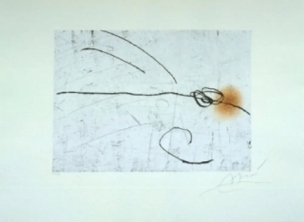 蚀刻飞尘法 Miró - Lapidari, Aquilinus