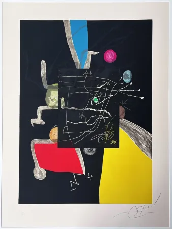 蚀刻飞尘法 Miró - Llibre dels sis sentits (Books of th six senses) 