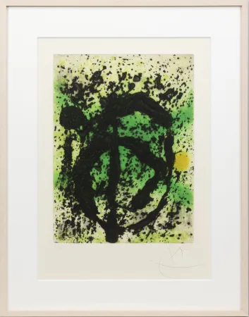 飞尘腐蚀法 Miró - Règne végétal (Plant Kingdom)