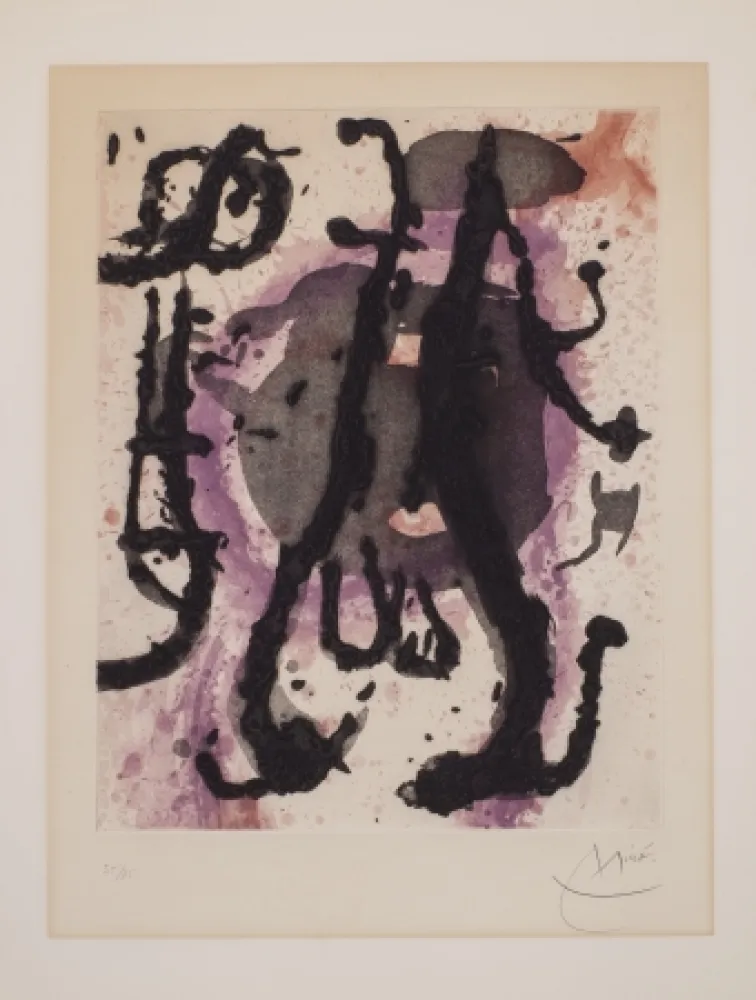 无技术 Miró - Sumo