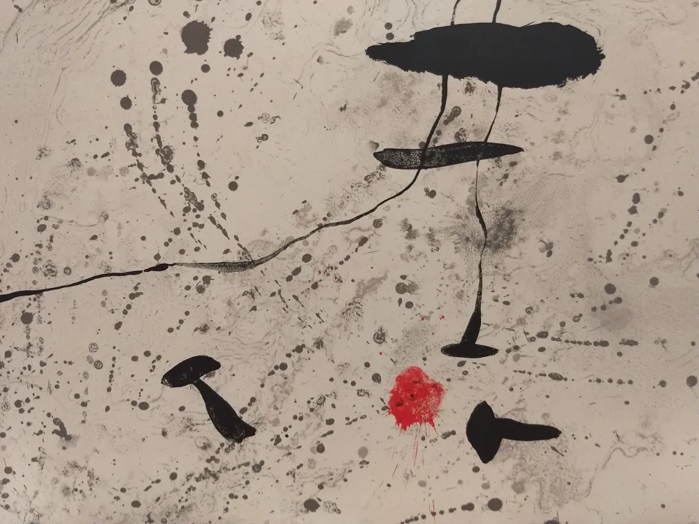 插图书 Miró - Trace Sur l'eau
