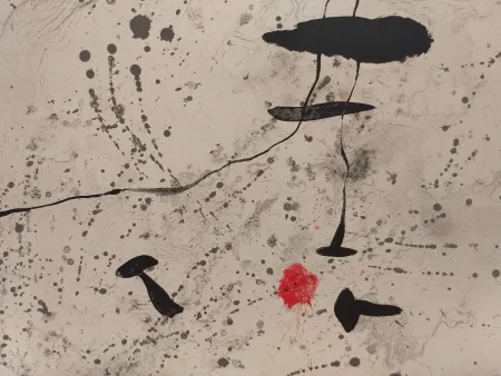 插图书 Miró - Trace Sur l'eau