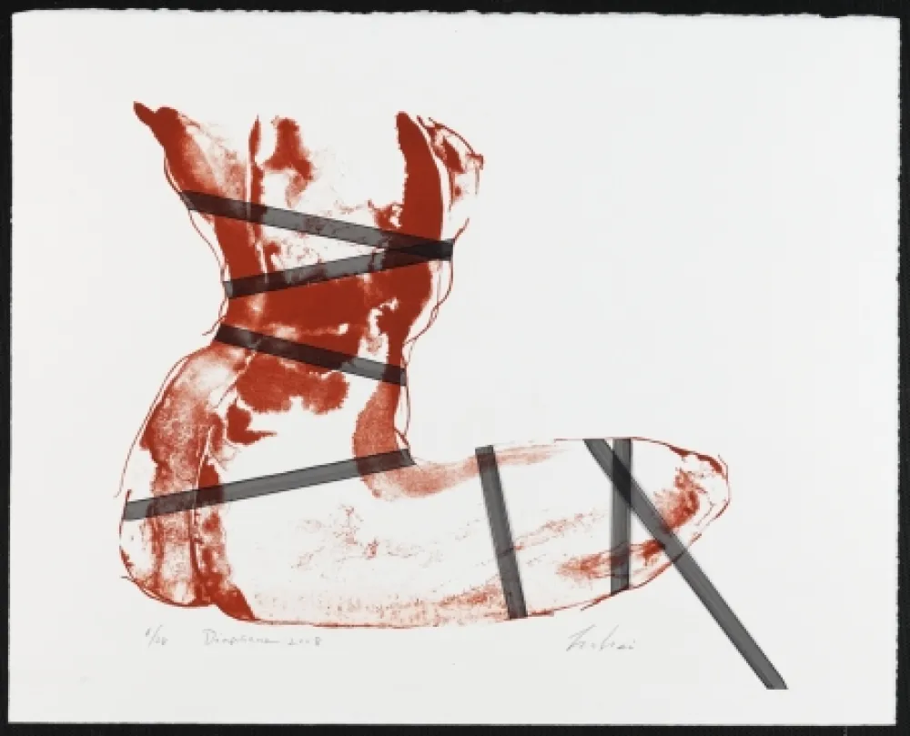 石版画 Mizutani - Diaphane