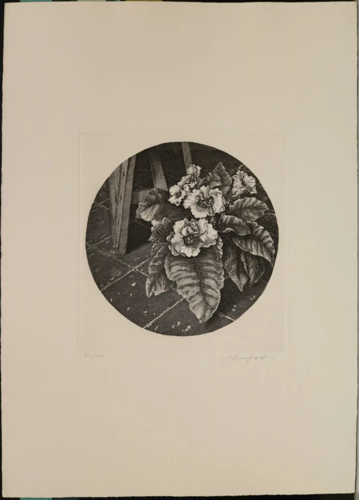 蚀刻版画 Mongatti - Natura morta