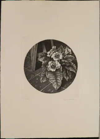 蚀刻版画 Mongatti - Natura morta