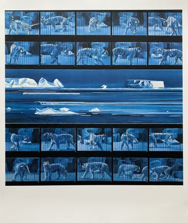 海报 Monory - Dream tiger No 4