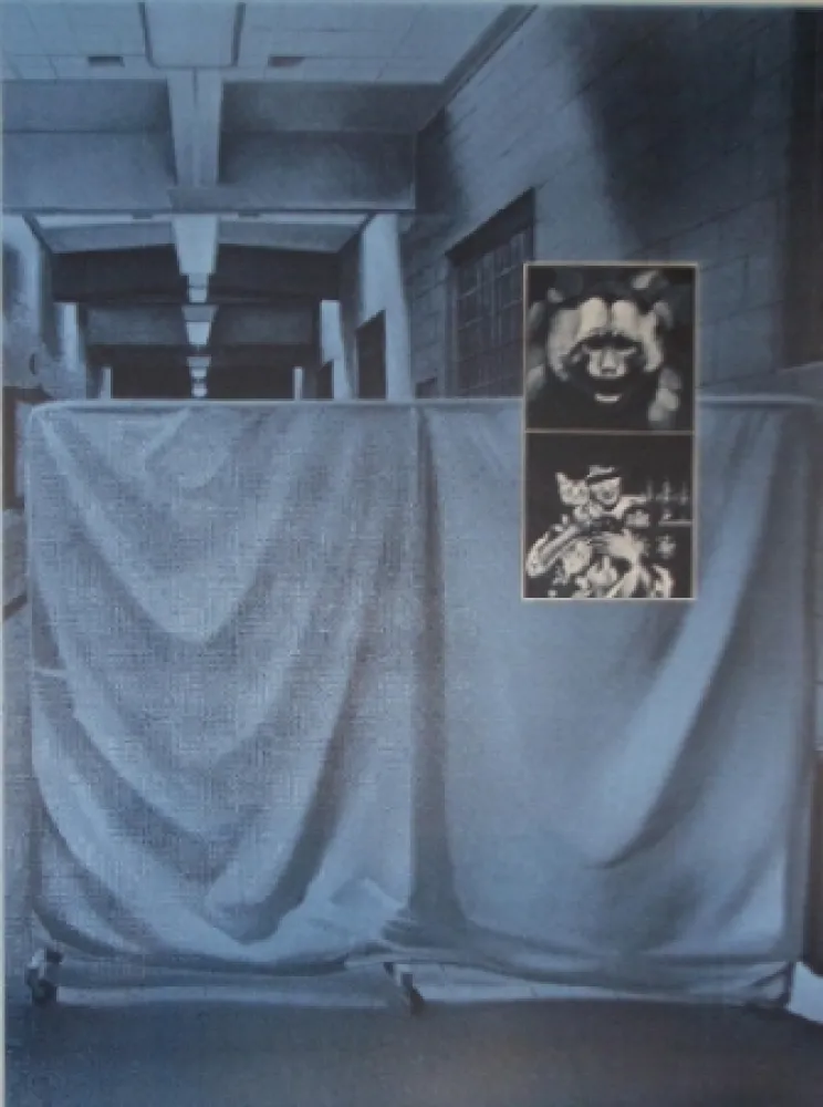 丝网印刷 Monory - USA 76 - Singes