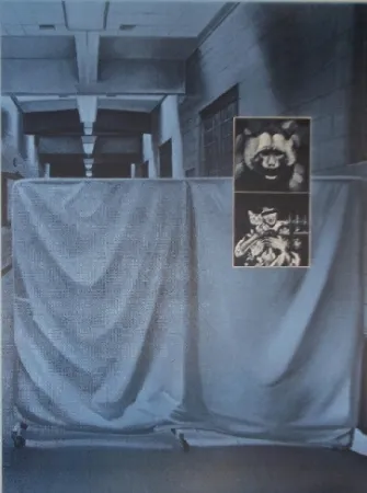 丝网印刷 Monory - USA 76 - Singes