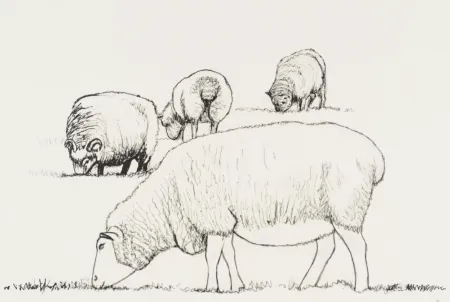 石版画 Moore - Four Sheep Grazing