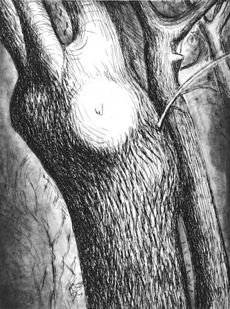 蚀刻飞尘法 Moore - Trees VI dead ash