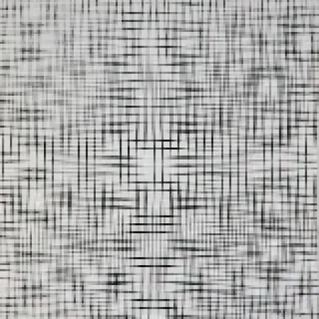 丝网印刷 Morellet - 2 doubles trames