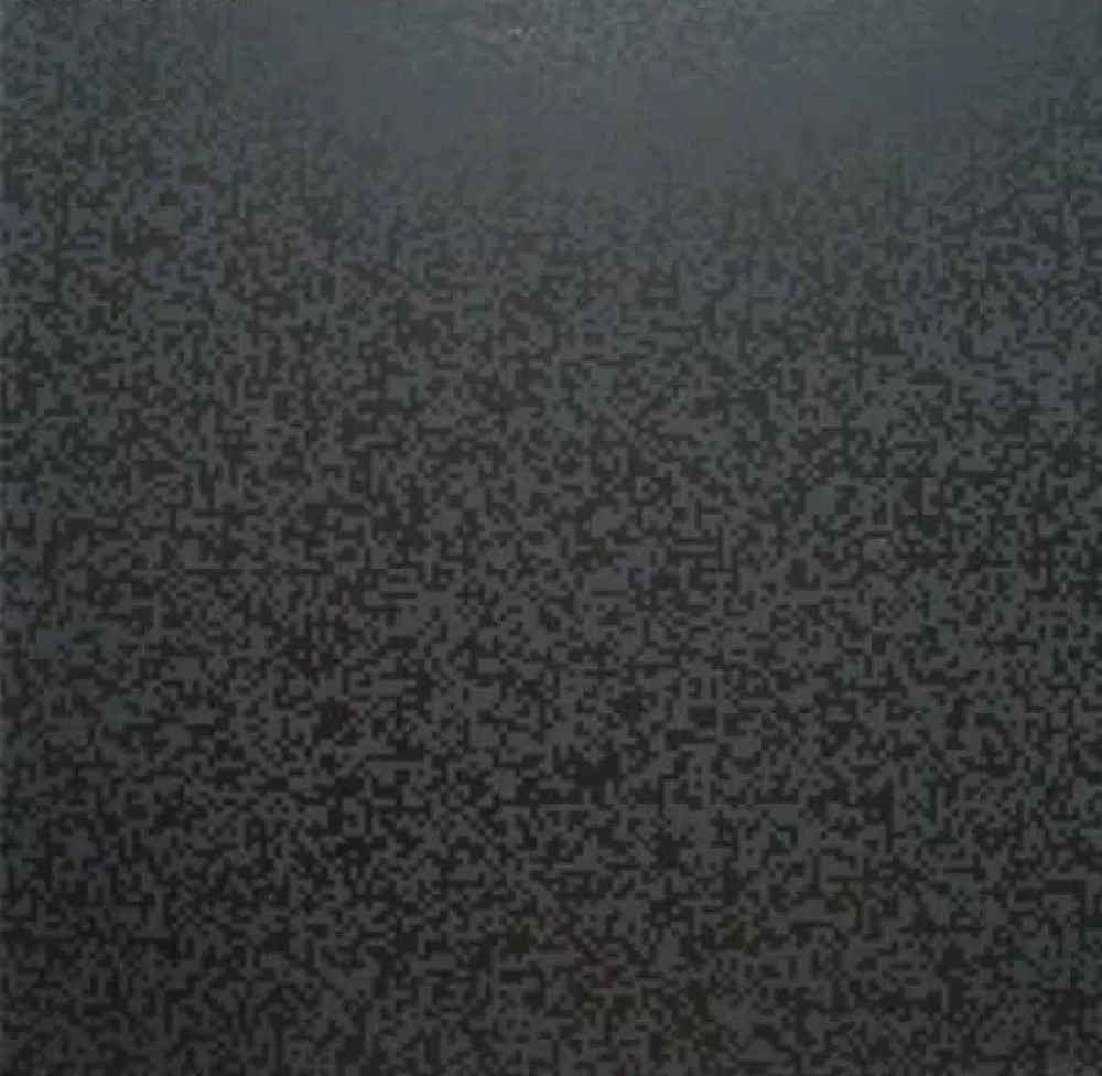 丝网印刷 Morellet - 40 000 carrés