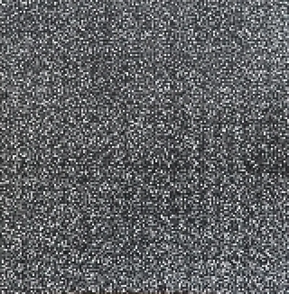 丝网印刷 Morellet - 7 doubles trames