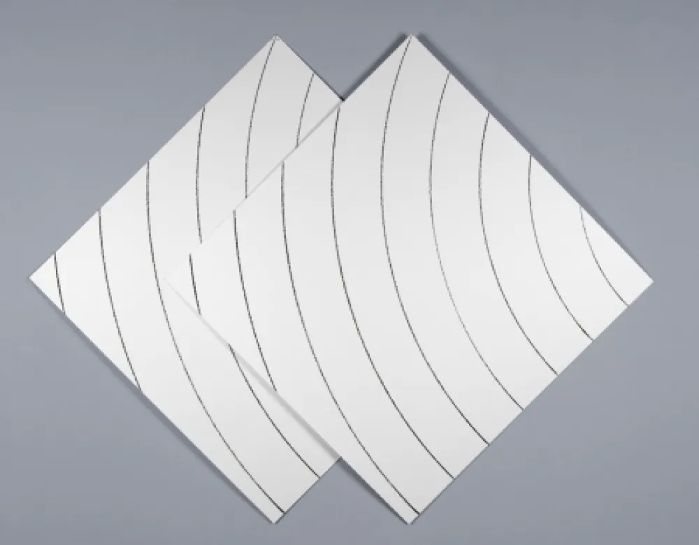 丝网印刷 Morellet - Ondes parasites 1