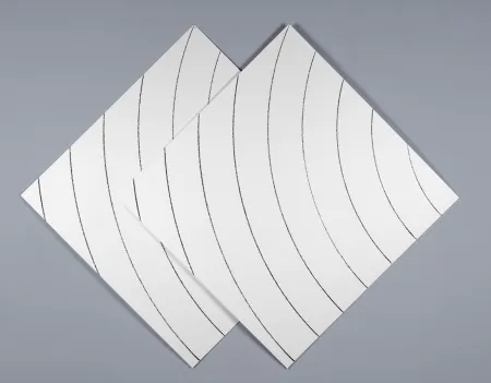 丝网印刷 Morellet - Ondes parasites 1