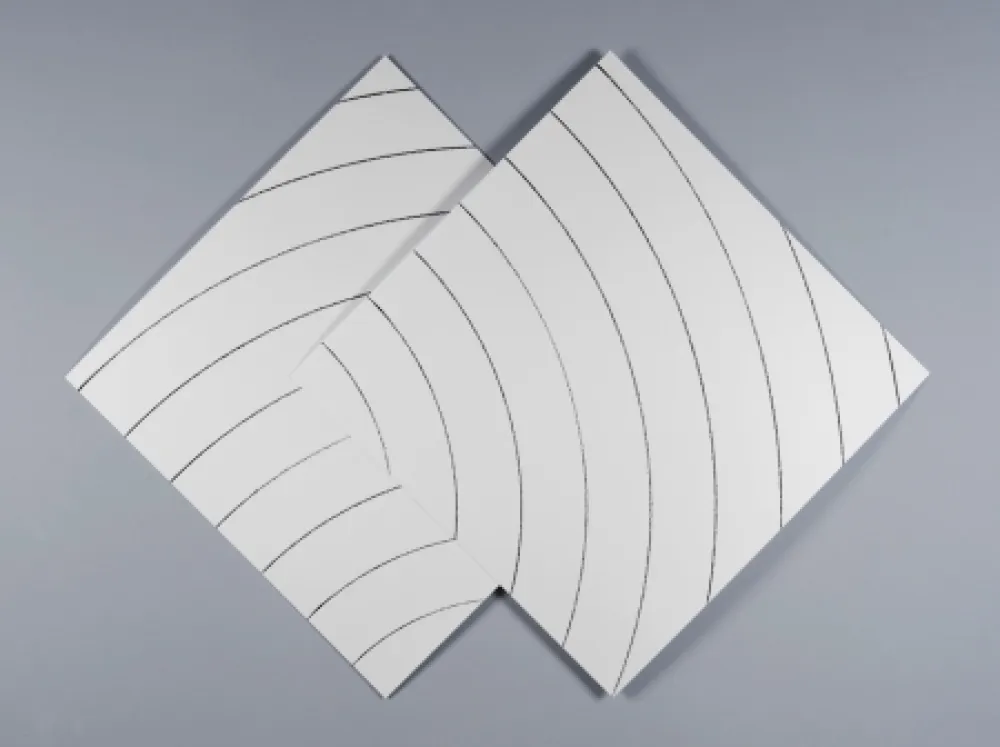 丝网印刷 Morellet - Ondes parasites 2