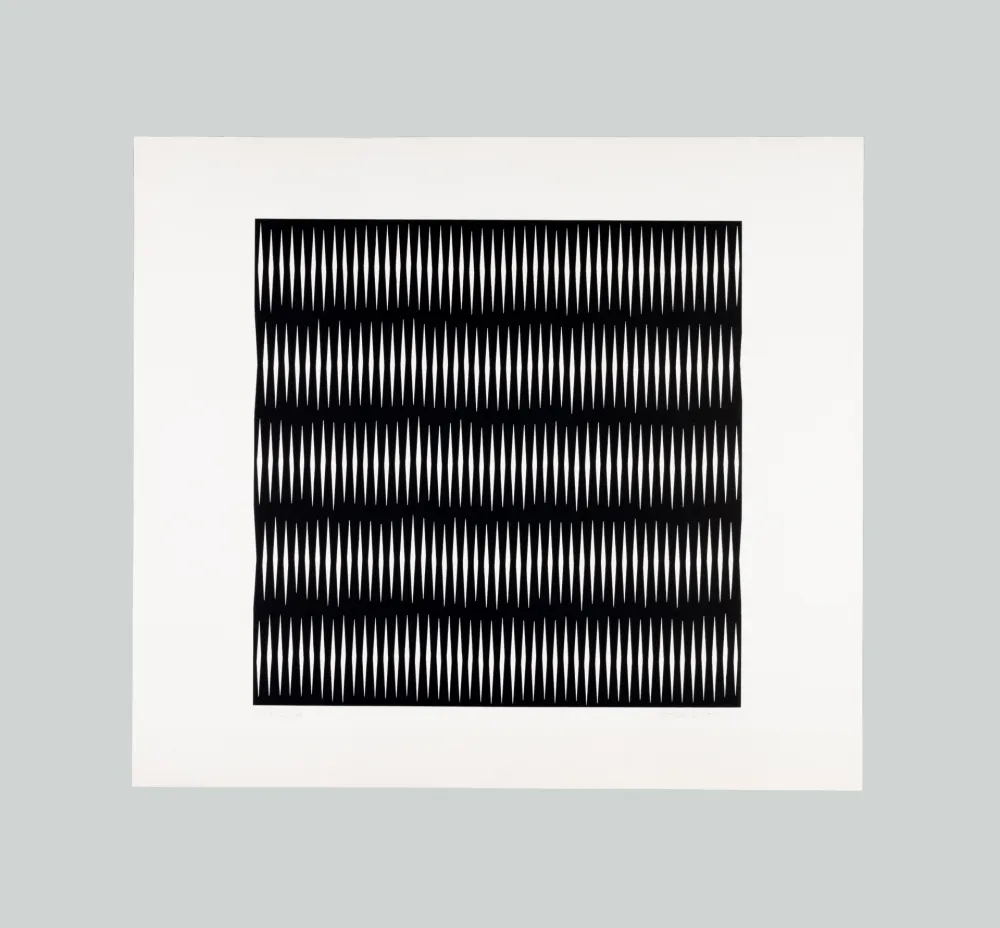 丝网印刷 Morellet - Senza titolo