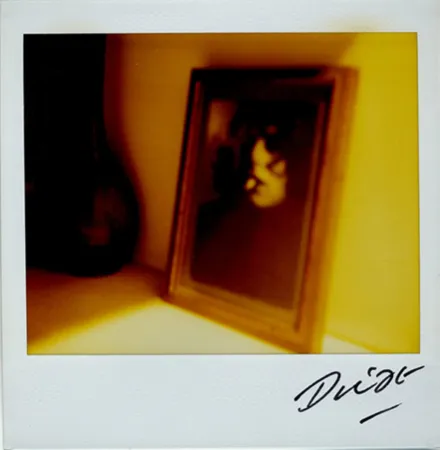 复数作品 Moriyama - Bye-Bye Polaroid 10