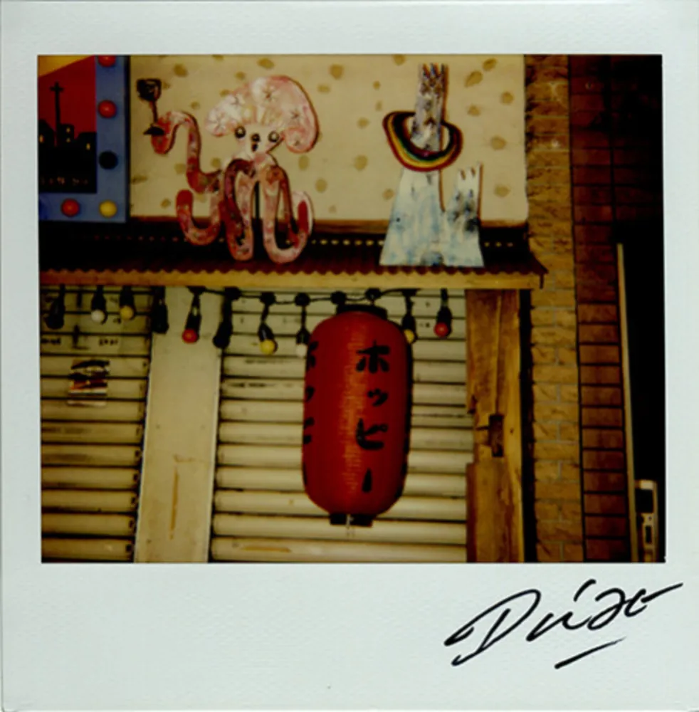 复数作品 Moriyama - Bye-Bye Polaroid 13