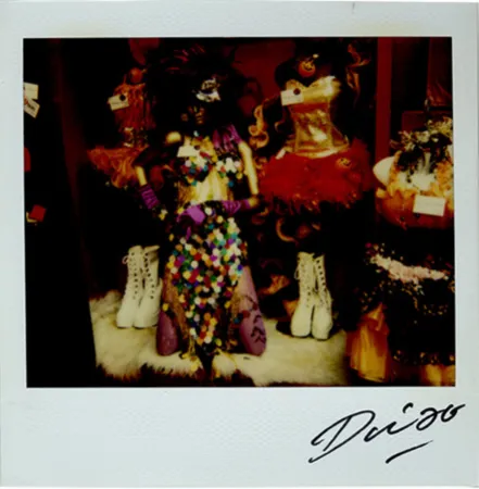 复数作品 Moriyama - Bye-Bye Polaroid 15