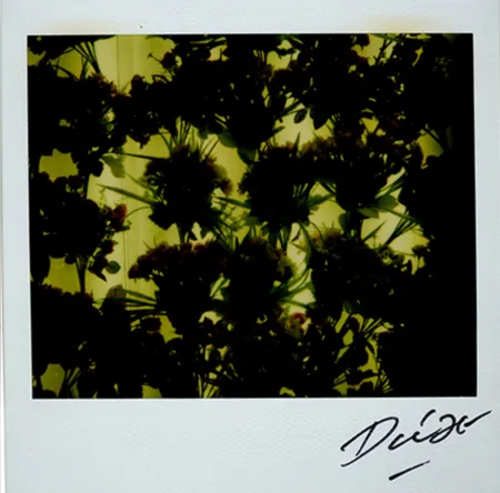 复数作品 Moriyama - Bye-Bye Polaroid 4