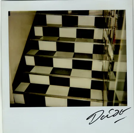 复数作品 Moriyama - Bye-Bye Polaroid 6