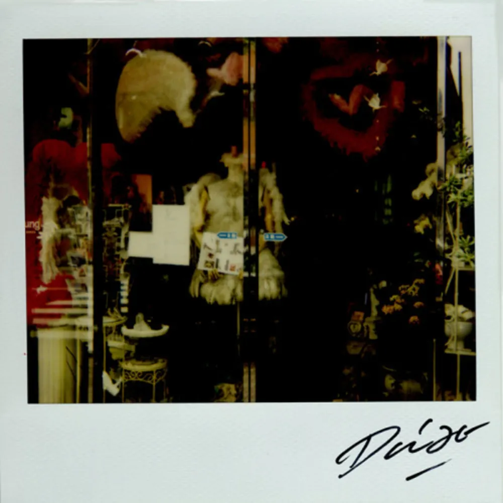 复数作品 Moriyama - Bye-Bye Polaroid 9