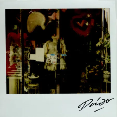 复数作品 Moriyama - Bye-Bye Polaroid 9