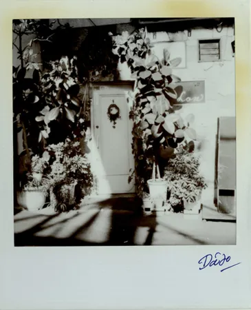 复数作品 Moriyama - Passage 3