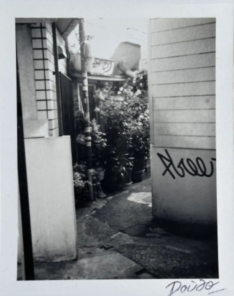 复数作品 Moriyama - Passage 4