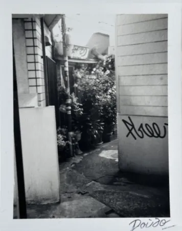 复数作品 Moriyama - Passage 4