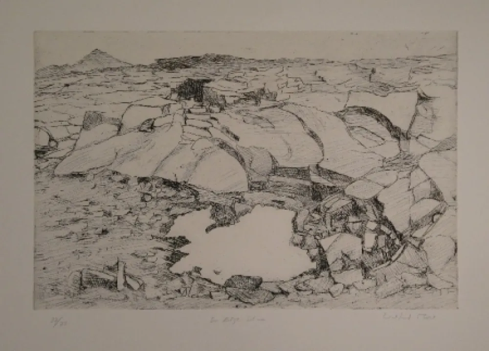 版画 Moser - Der letzte Schnee