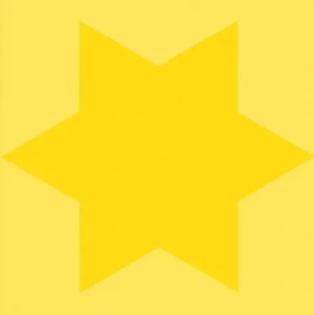 丝网印刷 Mosset - Etoile jaune