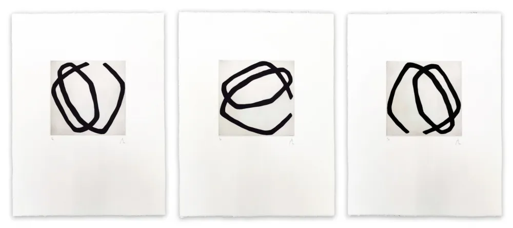 飞尘腐蚀法 Muckensturm - 12.5