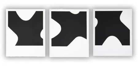 飞尘腐蚀法 Muckensturm - 14.3