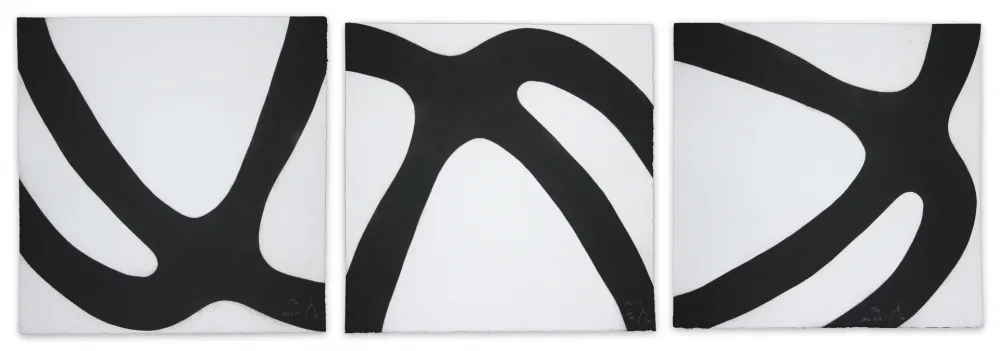 飞尘腐蚀法 Muckensturm - 14c2