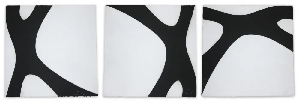 飞尘腐蚀法 Muckensturm - 14C6