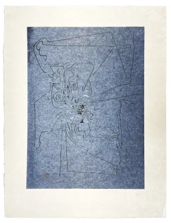 无技术 Müller - FENÊTRE BLEUE