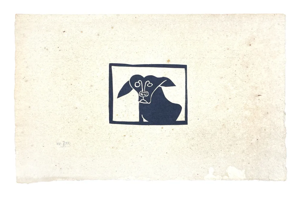 无技术 Müller - SKILIA II