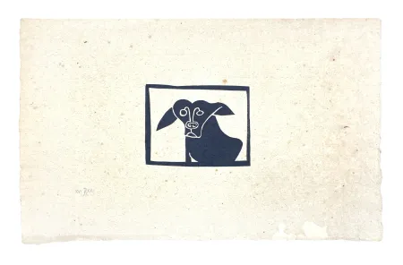 无技术 Müller - SKILIA II